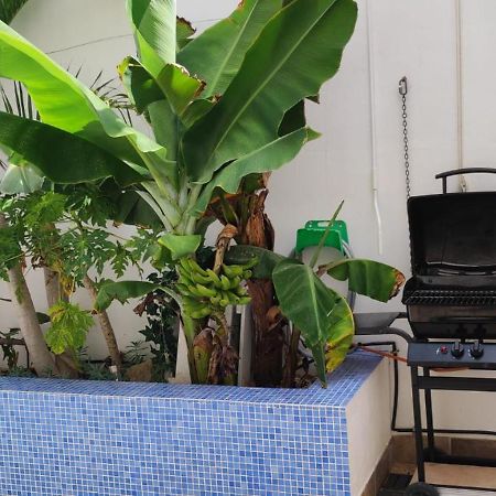 Casa El Olivo, Tenerife Valle de San Lorenzo エクステリア 写真