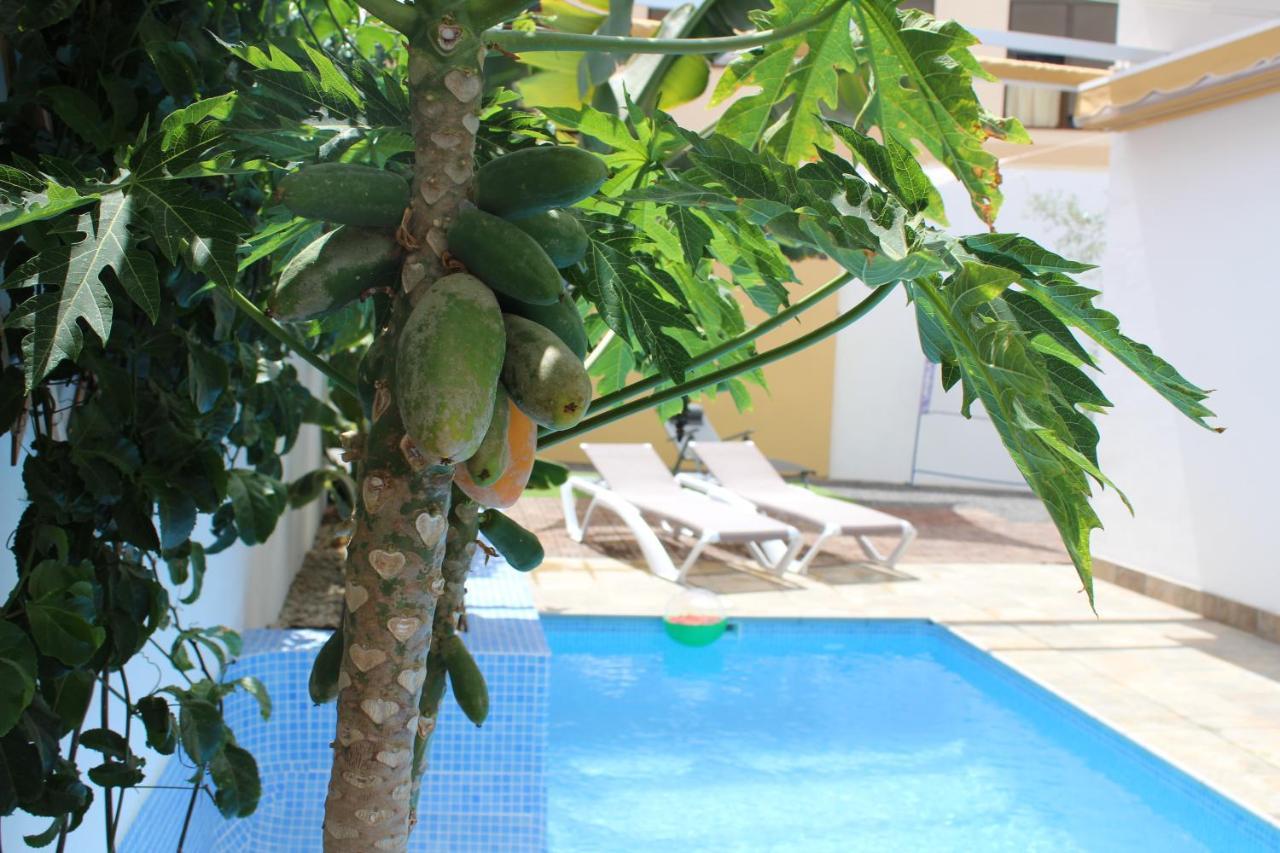 Casa El Olivo, Tenerife Valle de San Lorenzo エクステリア 写真