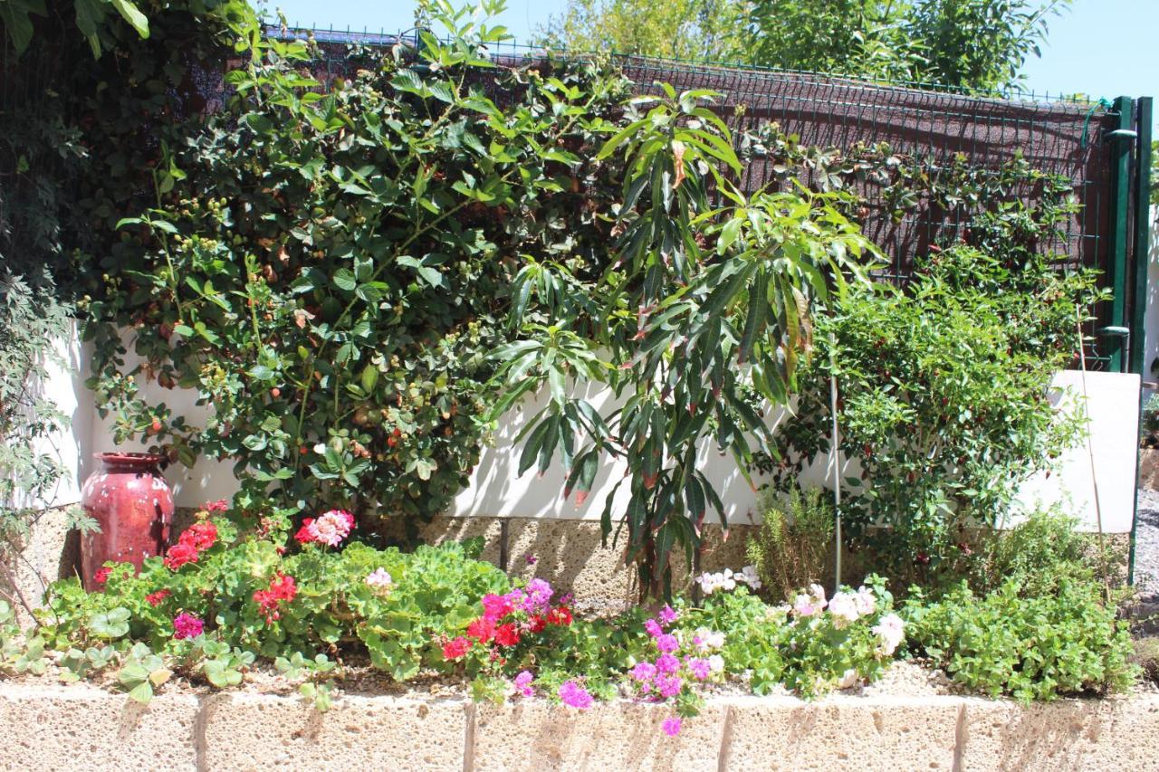 Casa El Olivo, Tenerife Valle de San Lorenzo エクステリア 写真