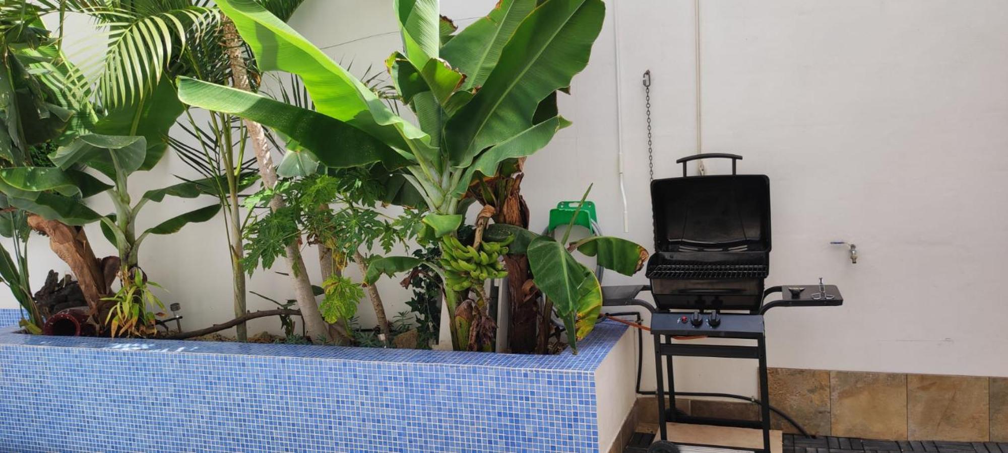 Casa El Olivo, Tenerife Valle de San Lorenzo エクステリア 写真